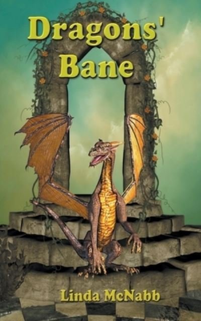 Cover for Linda McNabb · Dragon's Bane - Dragon Valley (Paperback Book) (2015)