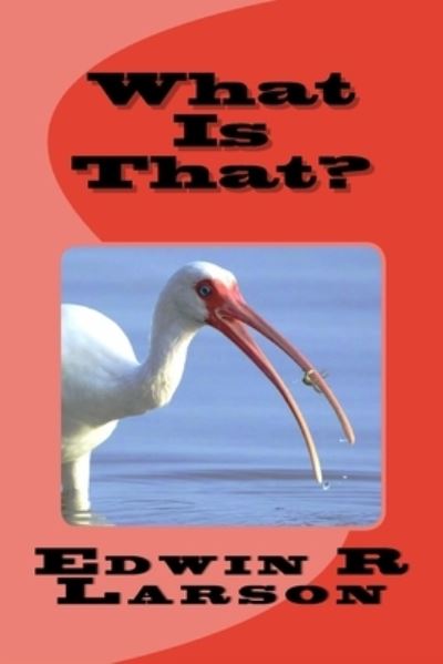 What Is That? - Edwin R Larson - Books - Createspace Independent Publishing Platf - 9781717056436 - April 15, 2018