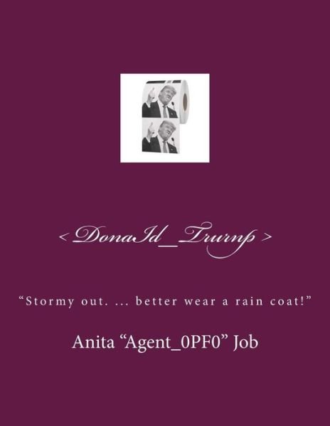 Cover for Anita &quot;agent_0pf0&quot; Job · Stormy Out. ... Better Wear a Rain Coat! (Paperback Book) (2018)