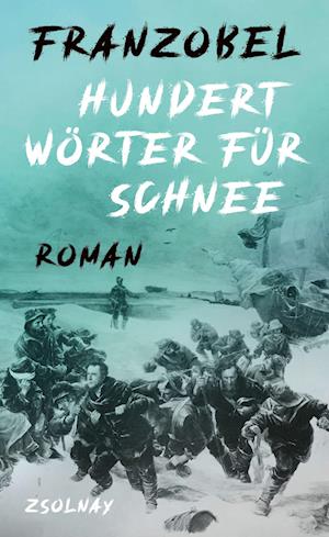 Cover for Franzobel · Hundert Wörter für Schnee (Book) (2025)