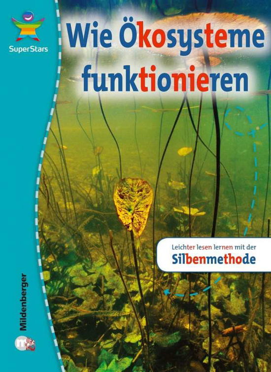 Cover for Jane Campbell · SuperStars: Wie  Okosysteme funktionieren (Paperback Book) (2017)