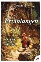 Cover for Johanna Spyri · Erzählungen (Innbunden bok) (2021)