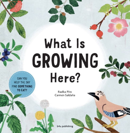 Cover for Radka Piro · What Plant Is This? (Board book) (2025)