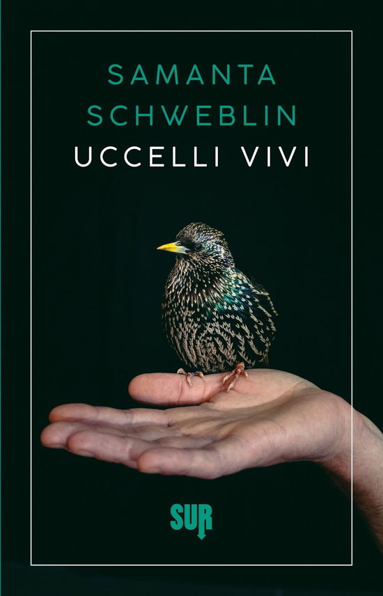 Cover for Samanta Schweblin · Uccelli Vivi (Bok)