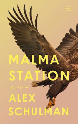 Cover for Alex Schulman · Malma Station (Gebundesens Buch) (2022)