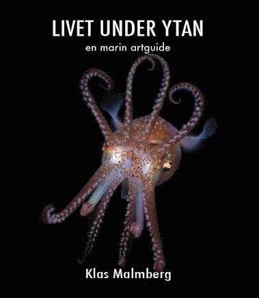 Cover for Klas Malmberg · Livet under ytan – en marin artguide (Paperback Book) (2013)