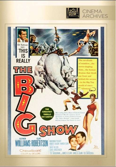 Cover for Big Show (DVD) (2012)