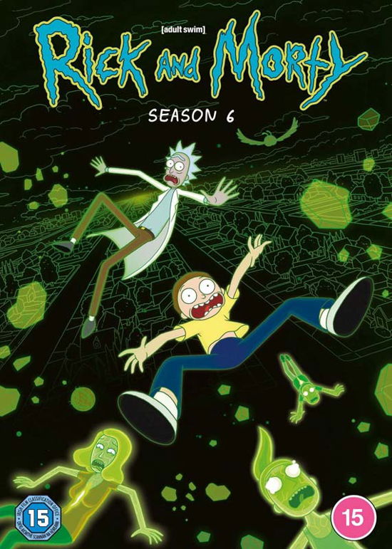 Rick And Morty Season 6 - Rick and Morty S6 DVD - Film - Warner Bros - 5051892240437 - 27. mars 2023