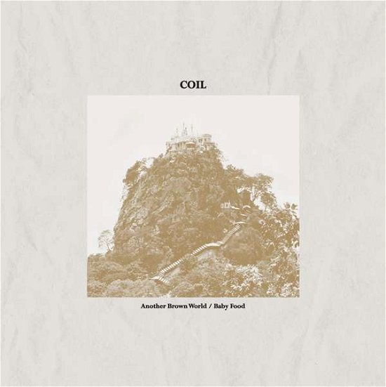 Cover for Coil · Another Brown World / Baby Food (LP) (2017)