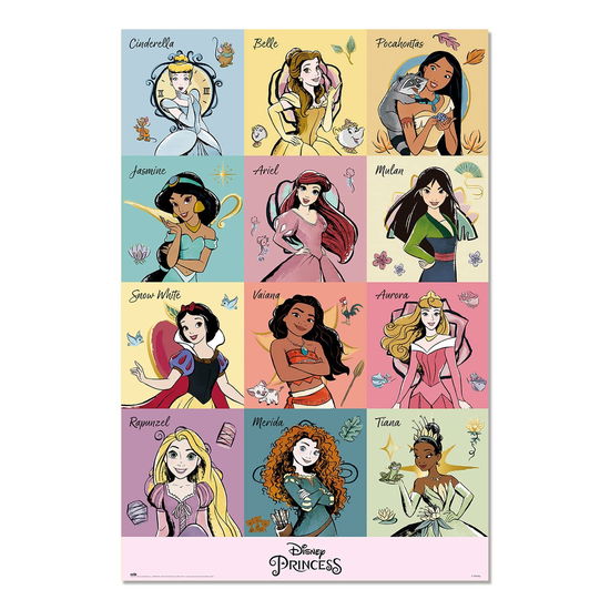 Cover for Princess · PRINCESS - Classics - Poster 61 x 91cm (Leksaker)