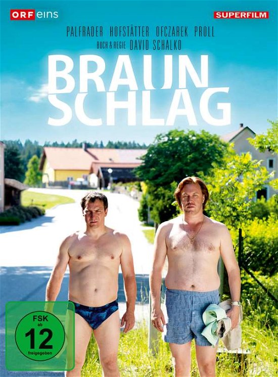 Cover for Palfrader,robert / Hofstätter,maria · Braunschlag (DVD) (2015)