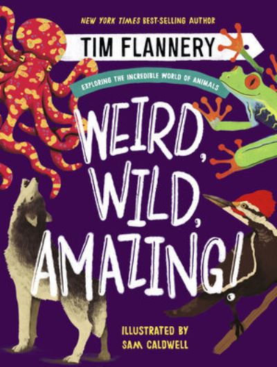 Cover for Tim Flannery · Weird, Wild, Amazing! - Exploring the Incredible World of Animals (Book) (2020)