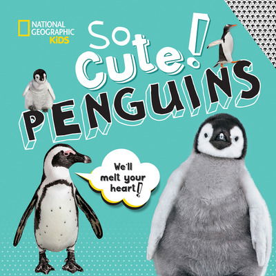 Cover for Crispin Boyer · So Cute: Penguins (Hardcover Book) (2020)