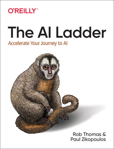 The AI Ladder: Accelerate your journey to AI - Rob Thomas - Kirjat - O'Reilly Media - 9781492073437 - tiistai 12. toukokuuta 2020