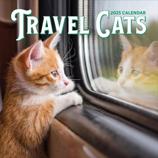 Travel Cats Wall Calendar 2025 - Workman Calendars - Merchandise - Workman Publishing - 9781523526437 - August 8, 2024