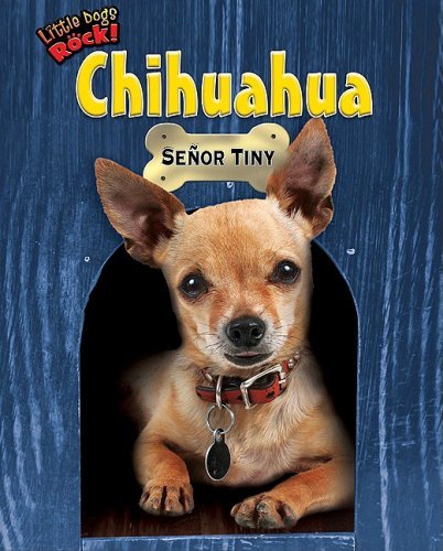 Cover for Natalie Lunis · Chihuahua: Senor Tiny (Little Dogs Rock!) (Inbunden Bok) (2009)