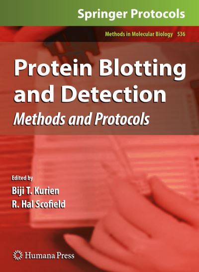Cover for Protein Blotting and Detection: Methods and Protocols - Methods in Molecular Biology (Paperback Book) [Softcover reprint of hardcover 1st ed. 2009 edition] (2011)