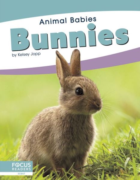 Cover for Kelsey Jopp · Bunnies - Animal Babies (Hardcover Book) (2019)