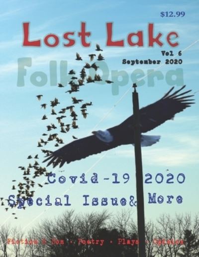 Cover for Tom Driscoll · Lost Lake Folk Opera V6 (Paperback Book) (2020)