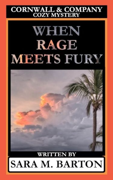 Cover for Sara M Barton · When Rage Meets Fury (Pocketbok) (2019)