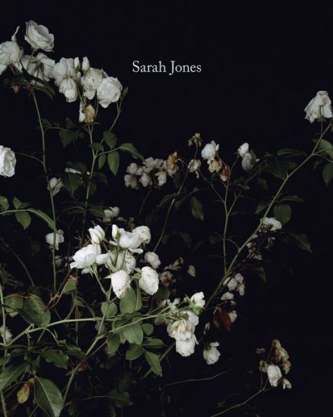 Cover for Sarah Jones (Hardcover Book) (2013)