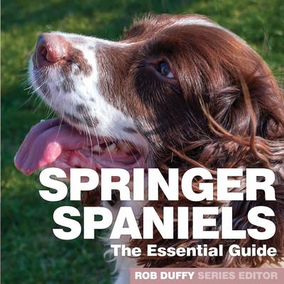 Cover for Robert Duffy · Springer Spaniels: The Essential Guide (Paperback Book) (2019)