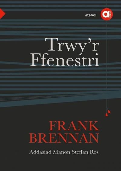Cover for Manon Steffan Ros · Cyfres Amdani: Trwy'r Ffenestri (Paperback Book) (2022)