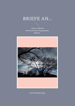 Cover for Gerd Steinkoenig · Briefe an... (Book) (2023)