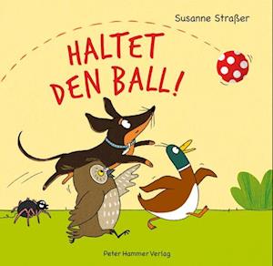 Cover for Susanne Straßer · Haltet den Ball! (Book) (2024)