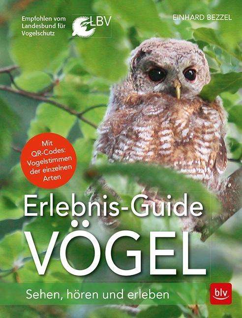 Cover for Bezzel · Erlebnis-Guide Vögel (Book)