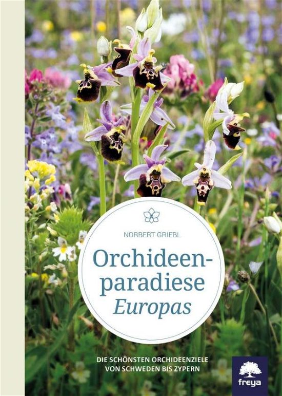 Cover for Griebl · Orchideenparadiese Europas (Book)