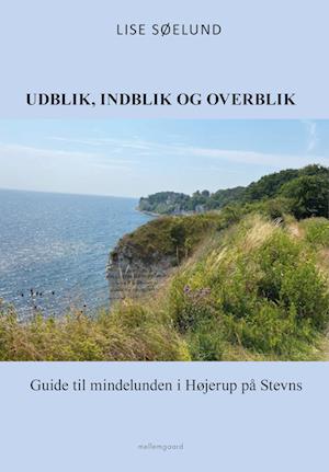 Cover for Lise Søelund · Udblik, indblik og overblik (Sewn Spine Book) [1. Painos] (2023)