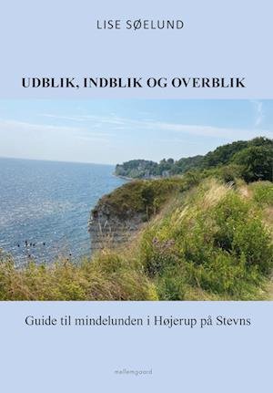 Cover for Lise Søelund · Udblik, indblik og overblik (Heftet bok) [1. utgave] (2023)