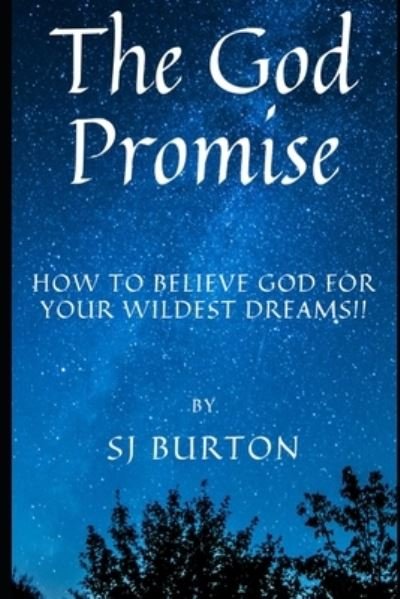 Cover for Sj Burton · The God Promise (Paperback Book) (2020)