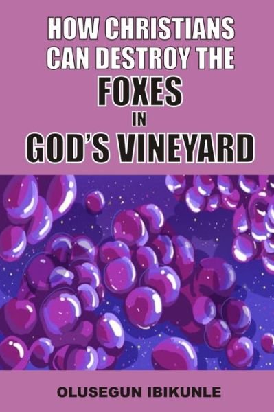 Cover for Olusegun Ibikunle · How Christians Can Destroy The Foxes In God's Vineyard (Paperback Book) (2021)