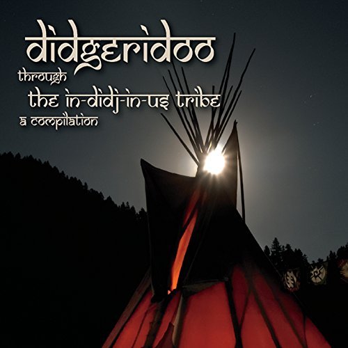 Cover for Var · Didgeridoo Through Indidjinus Tribe: a Compilation (CD) (2014)