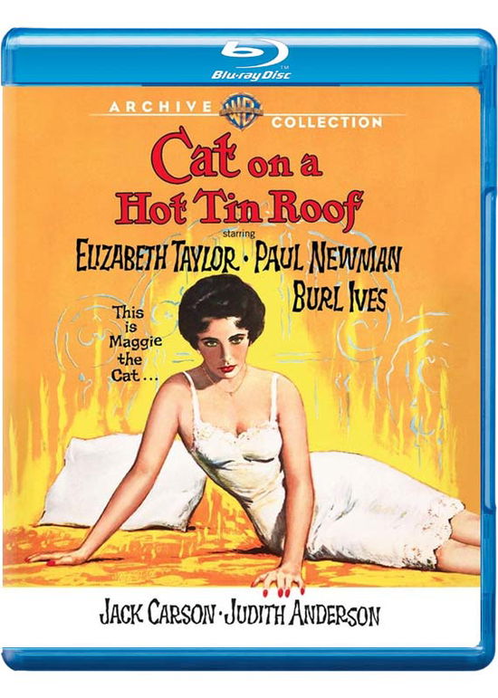 Cover for Cat on a Hot Tin Roof (Blu-ray) (2016)