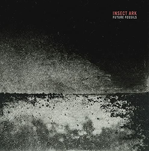 Cover for Insect Ark · Future Fossils (CD) (2021)