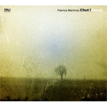 Rebirth - Fabrice Martinez Chut! - Music - L'AUTRE - 3521383437438 - February 16, 2017