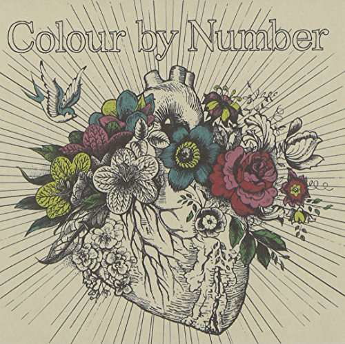 Cover for Monkey Majik · Color by Number: Deluxe Edition (CD) [Deluxe edition] (2015)