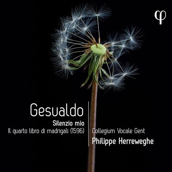 Cover for Collegium Vocale Gent · Gesualdo: Silenzio Mio - Il Quarto Libro Di Madrigali (CD) (2024)