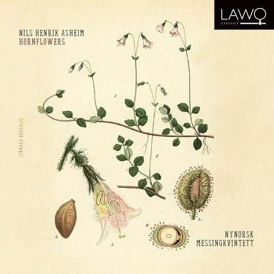 Cover for Nynorsk Messingkvintett · Hornflowers (CD) (2021)