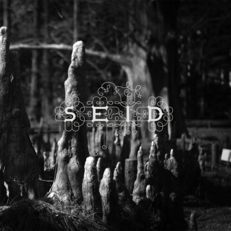 Cover for Seid · Magic Handshake (CD) (2022)