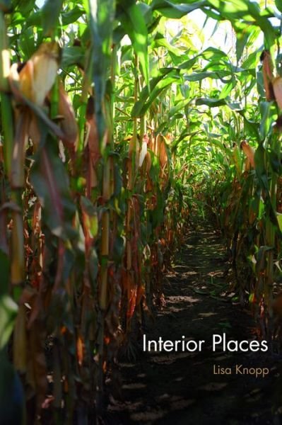 Cover for Lisa Knopp · Interior Places (Paperback Book) (2008)