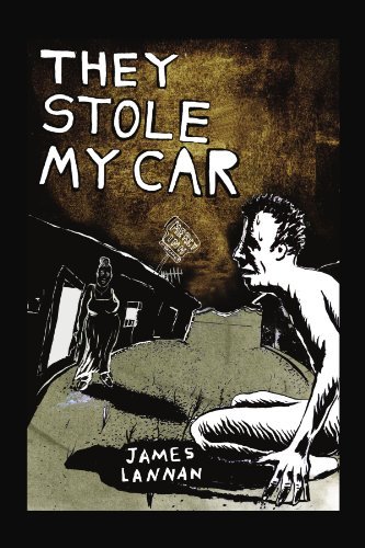 Cover for James Lannan · They Stole My Car (Paperback Bog) (2010)