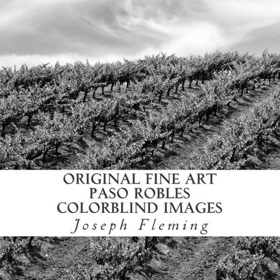 Cover for Joseph Fleming · Original Fine Art Paso Robles Colorblind Images (Paperback Book) (2014)