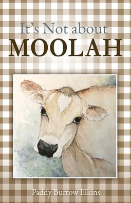 It's Not about MOOLAH: Lessons on trust, contentment and living simply - Paddy Burrow Elkins - Bücher - Xulon Press - 9781662819438 - 10. Juli 2021