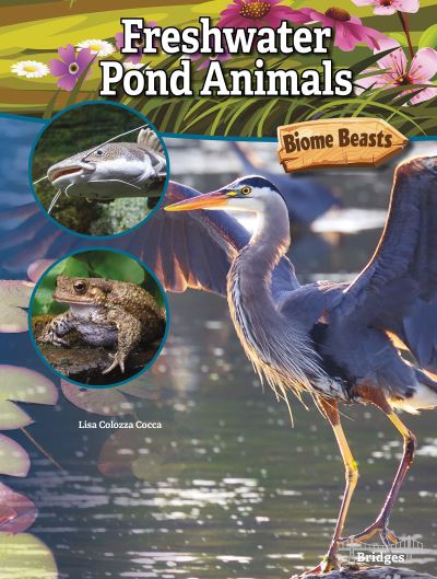 Cover for Lisa Colozza Cocca · Freshwater Pond Animals (Hardcover Book) (2019)