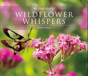 Cover for Denise Adams · The Little Book of Wildflower Whispers (Hardcover Book) (2019)