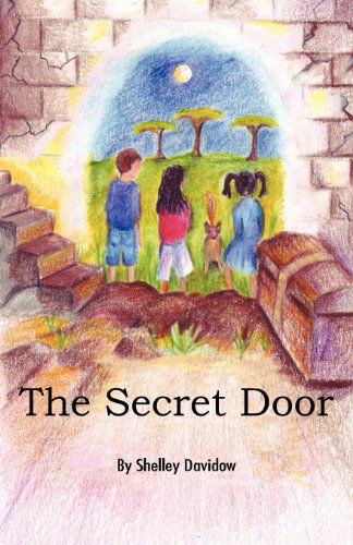 Cover for Shelley Davidow · The Secret Door (Paperback Book) (2012)